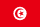 Flag of تونس
